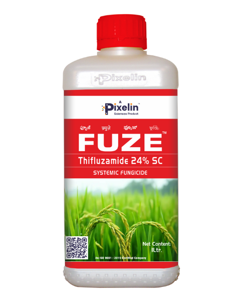 Thifluzamide 24% SC Fungicide