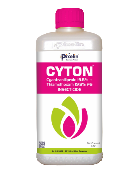 Cyantraniliprole 19.8% + Thiamethoxam 19.8% FS