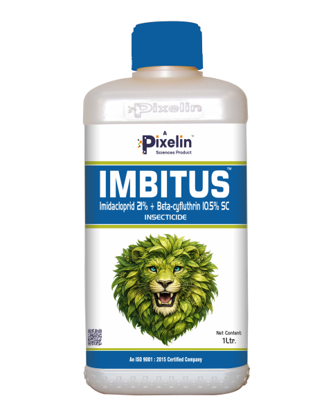 Imidacloprid 21% + Beta-cyfluthrin 10.5% SC