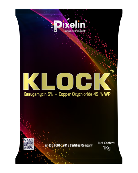 Kasugamycin 5% + Copper Oxychloride 45% WP