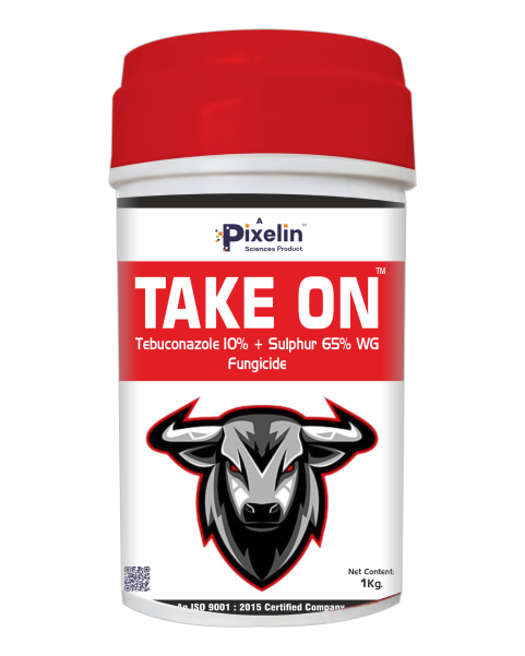 Tebuconazole 10% + Sulphur 65% WG