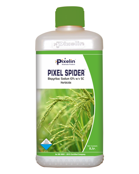 Bispyribac sodium 10% Sc